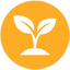 Kindergarten Foundations