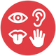 Multisensory-Phonemic
